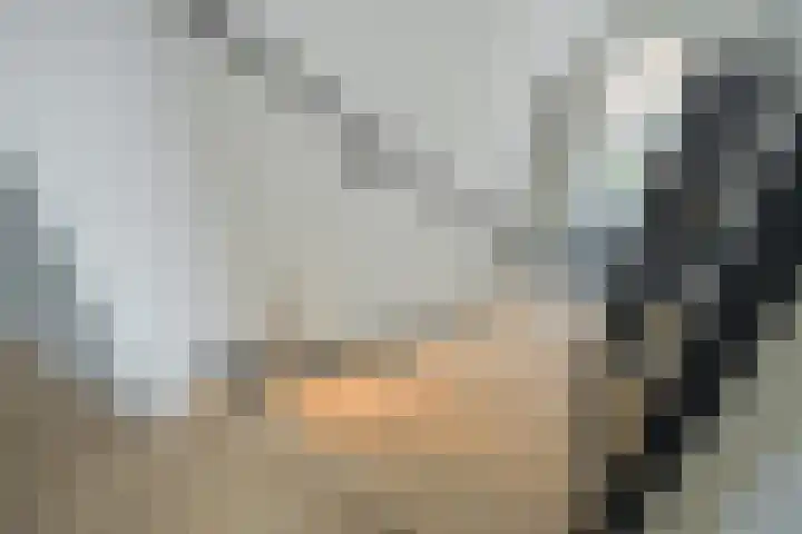 Gaspeldoorn 8 Breda thumbnail 103