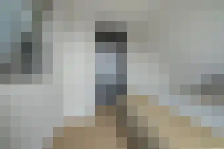 Gaspeldoorn 8 Breda thumbnail 109