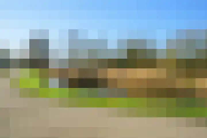 Gaspeldoorn 8 Breda thumbnail 135