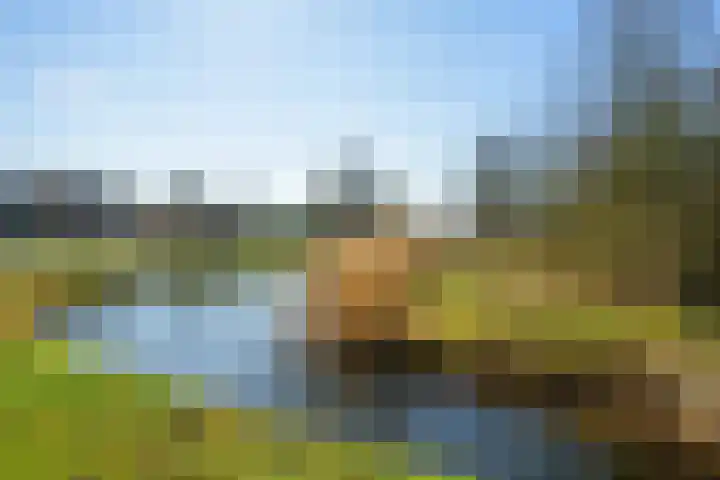 Gaspeldoorn 8 Breda thumbnail 136