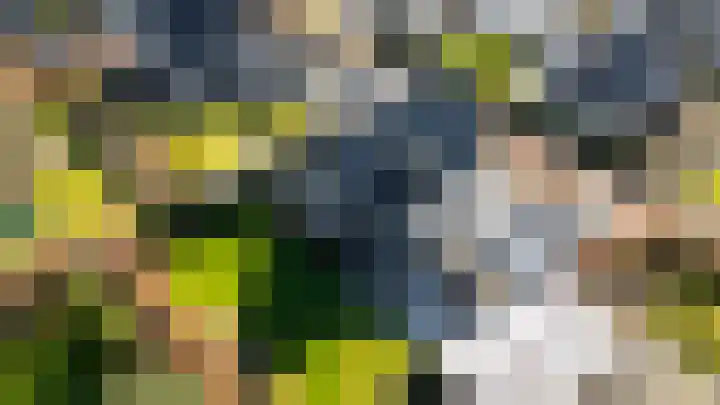 Gaspeldoorn 8 Breda thumbnail 146