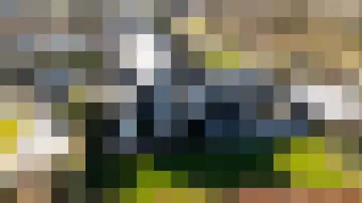 Gaspeldoorn 8 Breda thumbnail 148