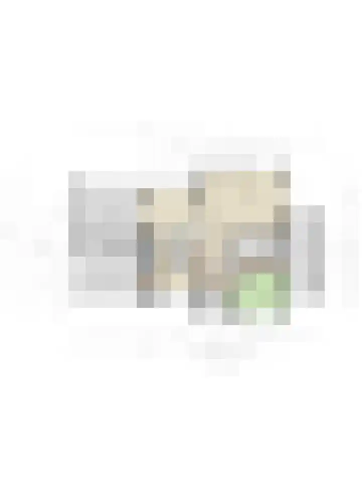 Gaspeldoorn 8 Breda thumbnail 152