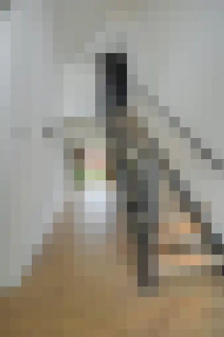 Gaspeldoorn 8 Breda thumbnail 23