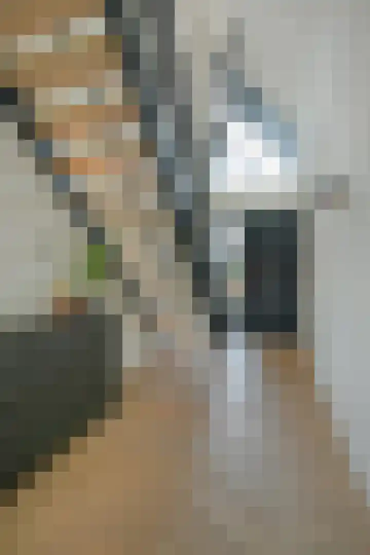 Gaspeldoorn 8 Breda thumbnail 25
