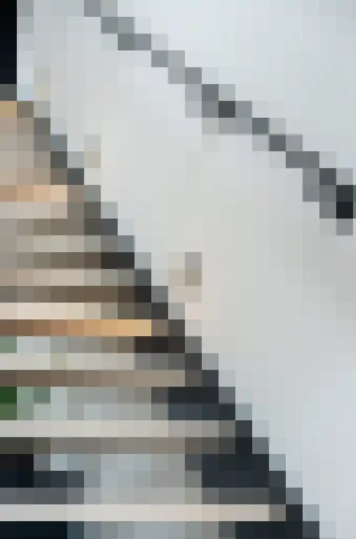 Gaspeldoorn 8 Breda thumbnail 27