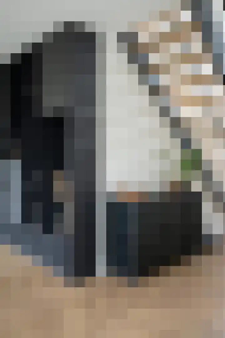 Gaspeldoorn 8 Breda thumbnail 36