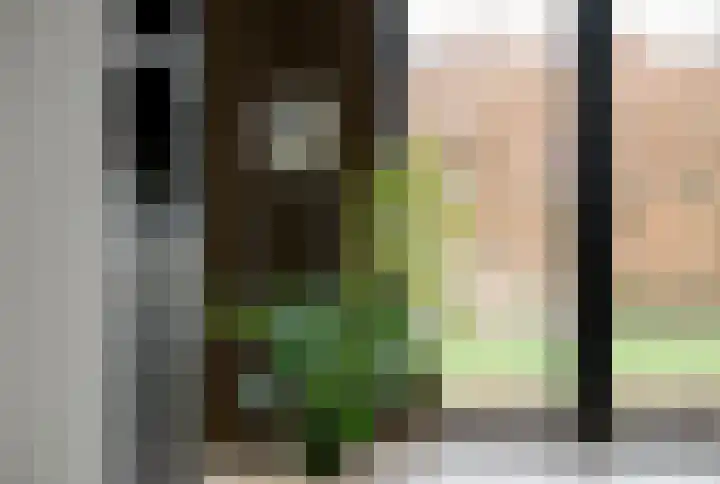 Gaspeldoorn 8 Breda thumbnail 44