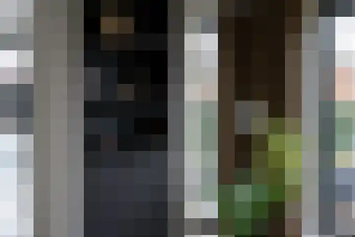 Gaspeldoorn 8 Breda thumbnail 45