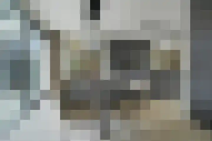 Gaspeldoorn 8 Breda thumbnail 50