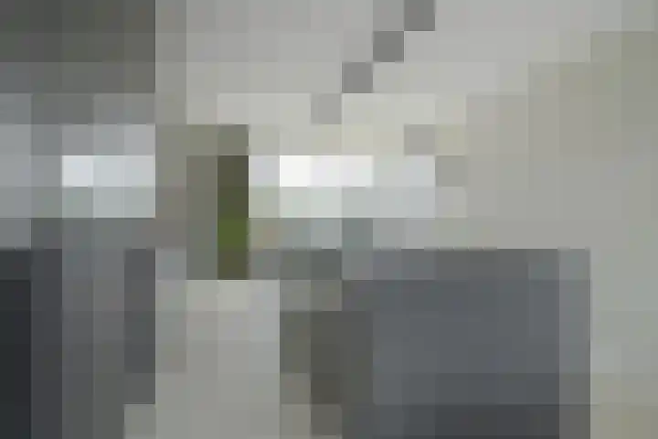 Gaspeldoorn 8 Breda thumbnail 52
