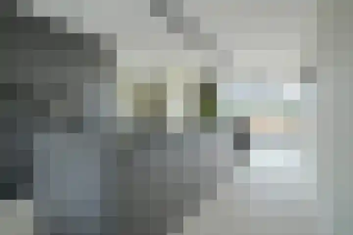 Gaspeldoorn 8 Breda thumbnail 57