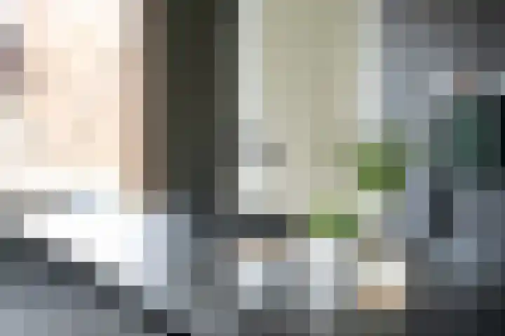 Gaspeldoorn 8 Breda thumbnail 60