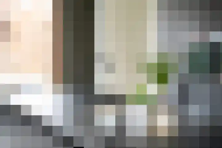 Gaspeldoorn 8 Breda thumbnail 62