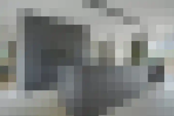 Gaspeldoorn 8 Breda thumbnail 63