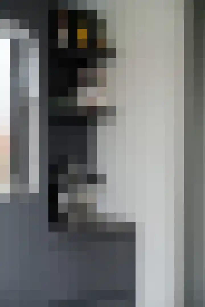 Gaspeldoorn 8 Breda thumbnail 64