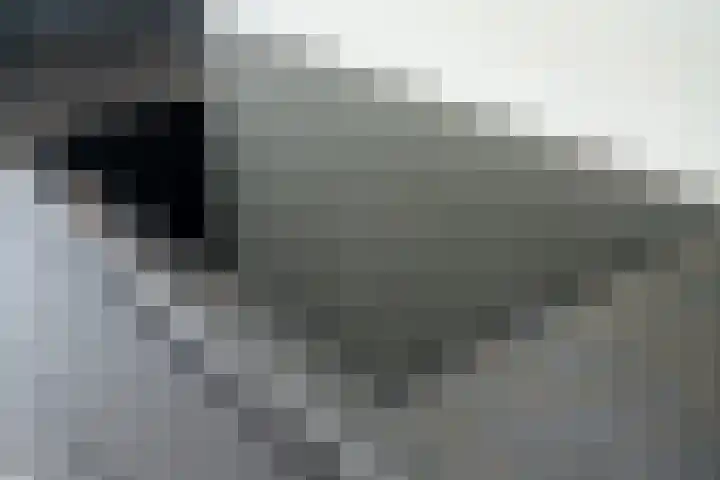 Gaspeldoorn 8 Breda thumbnail 66