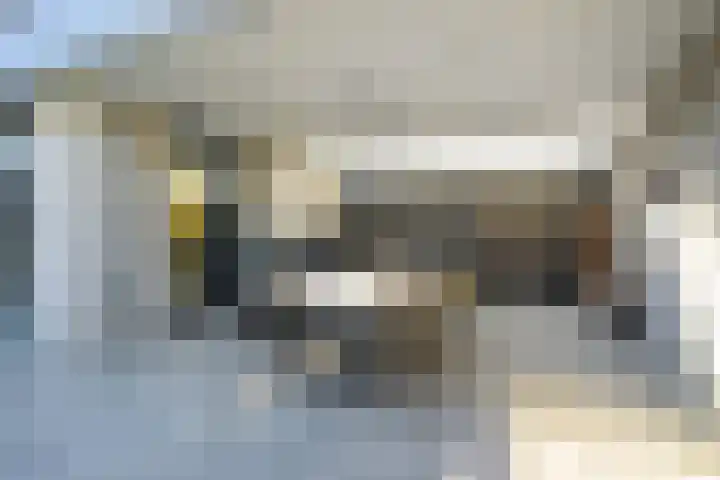 Gaspeldoorn 8 Breda thumbnail 73
