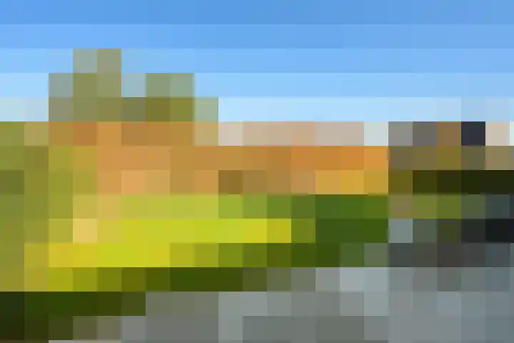 Gaspeldoorn 8 Breda thumbnail 75
