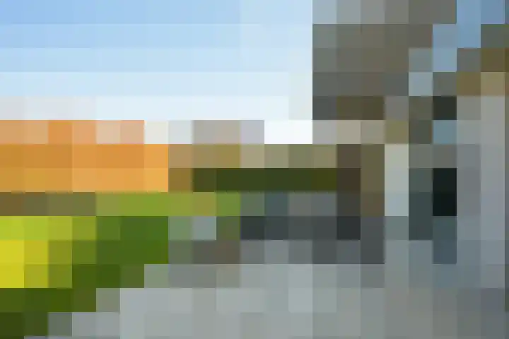 Gaspeldoorn 8 Breda thumbnail 76