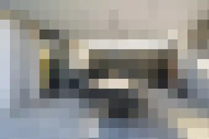 Gaspeldoorn 8 Breda thumbnail 77