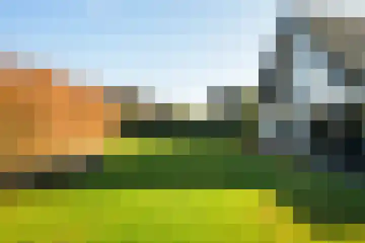 Gaspeldoorn 8 Breda thumbnail 80