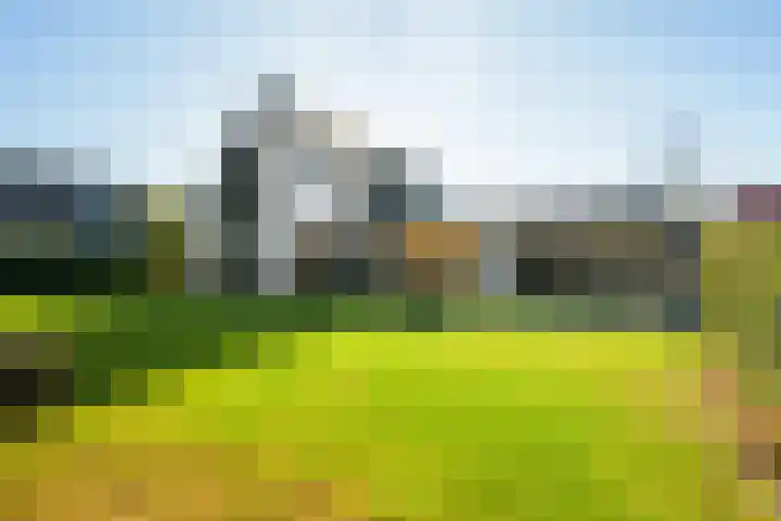 Gaspeldoorn 8 Breda thumbnail 84