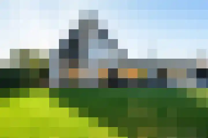 Gaspeldoorn 8 Breda thumbnail 85