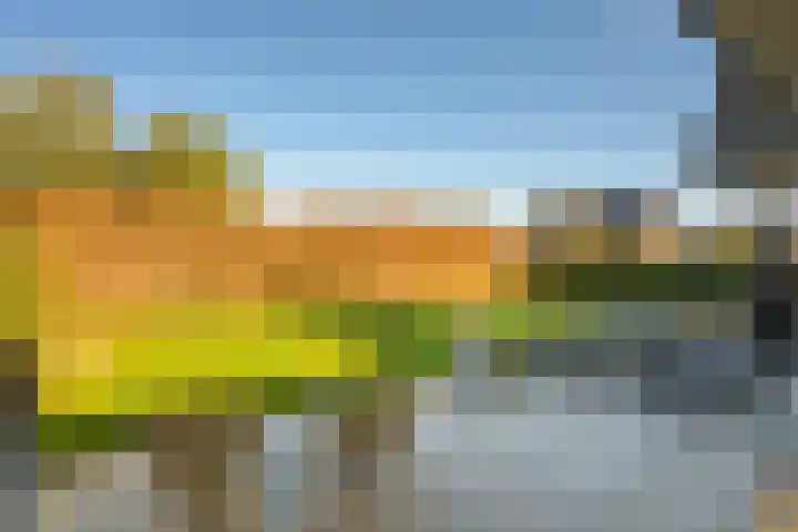 Gaspeldoorn 8 Breda thumbnail 87