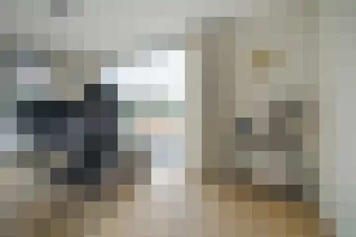 Gaspeldoorn 8 Breda thumbnail 89