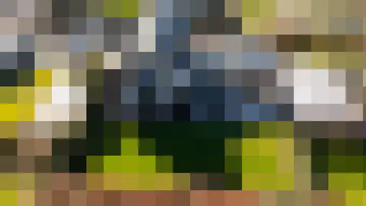 Gaspeldoorn 8 Breda thumbnail 9