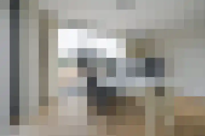 Gaspeldoorn 8 Breda thumbnail 91