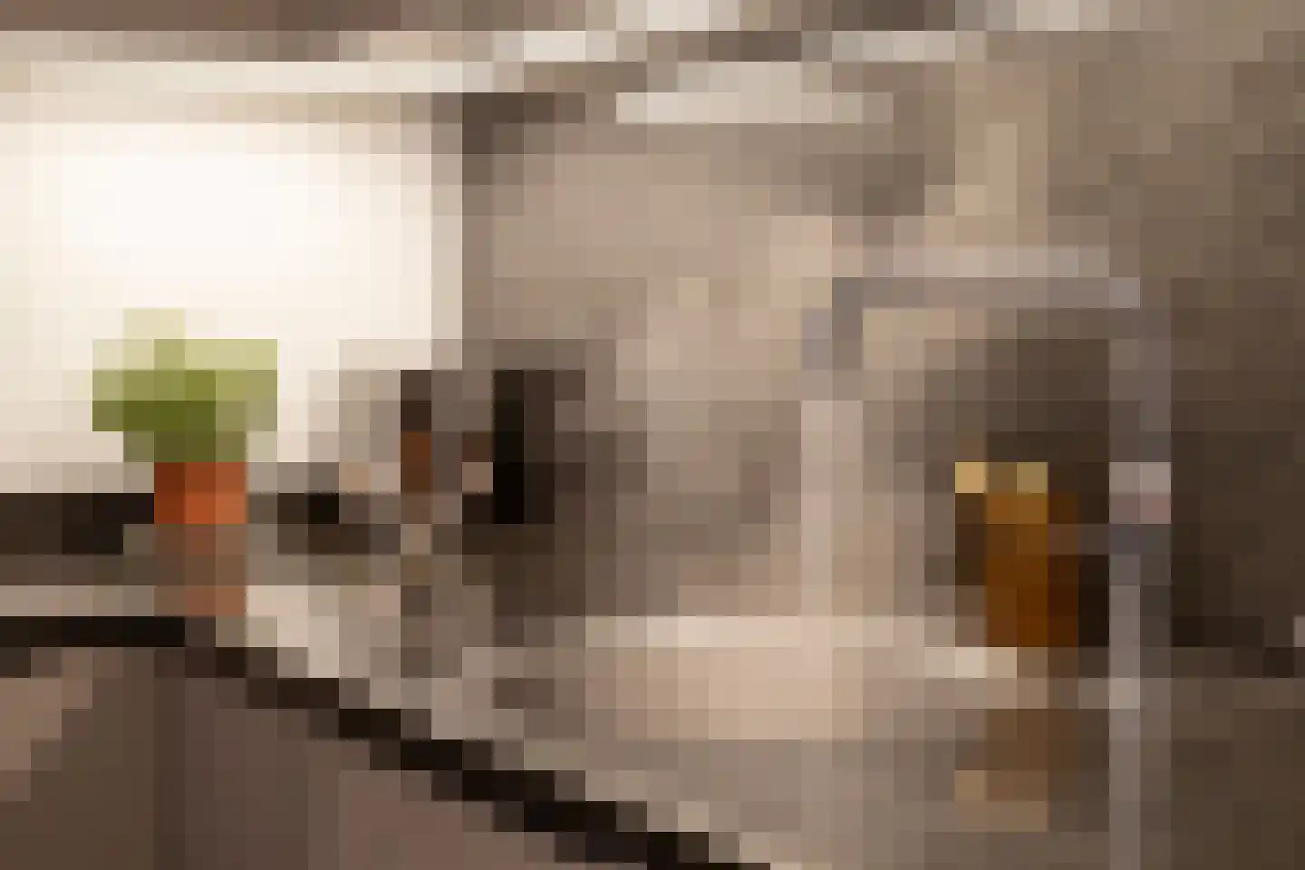 Gaspeldoornlaan 1 A Valkenswaard thumbnail 14