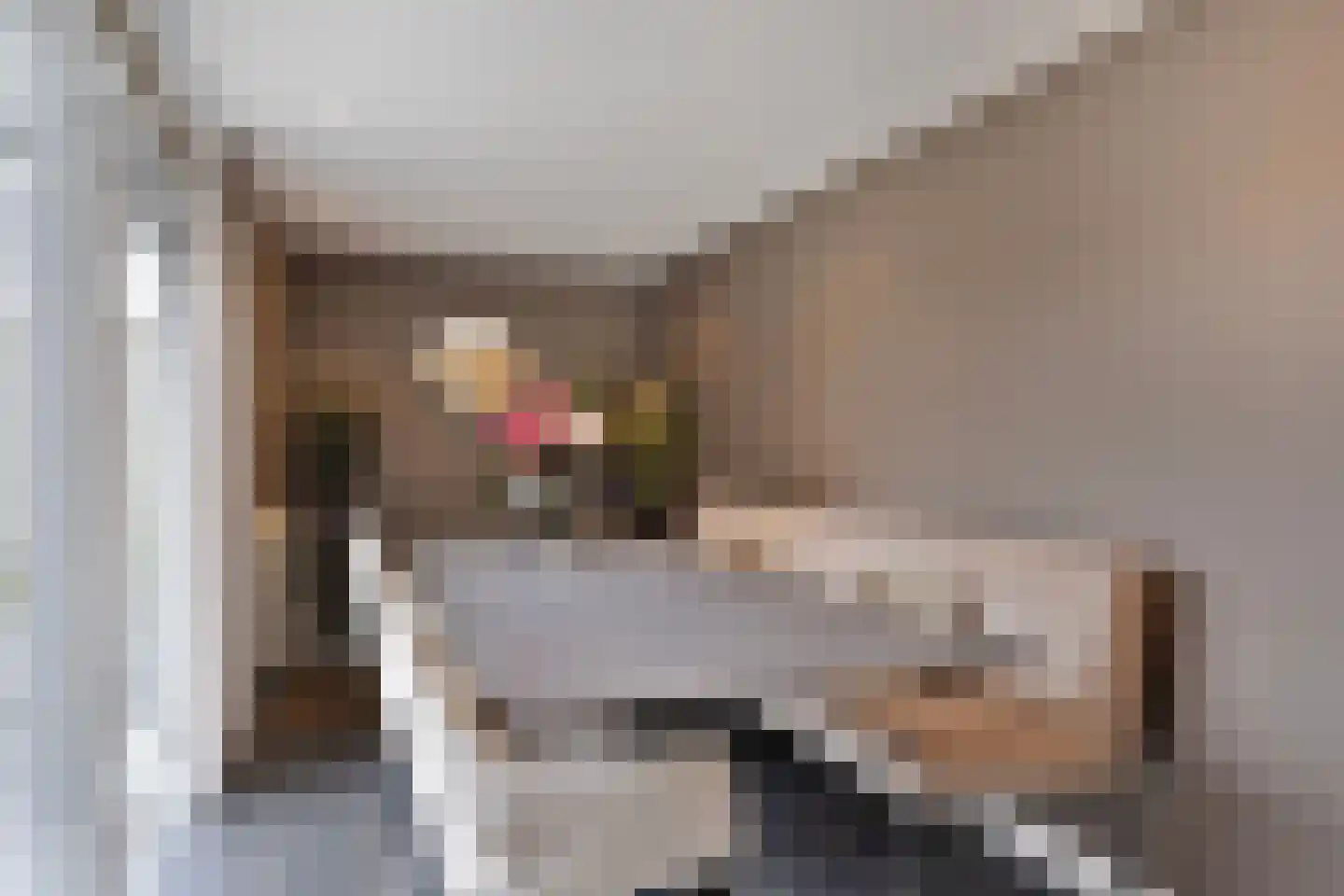 Gaspeldoornlaan 1 A Valkenswaard thumbnail 16