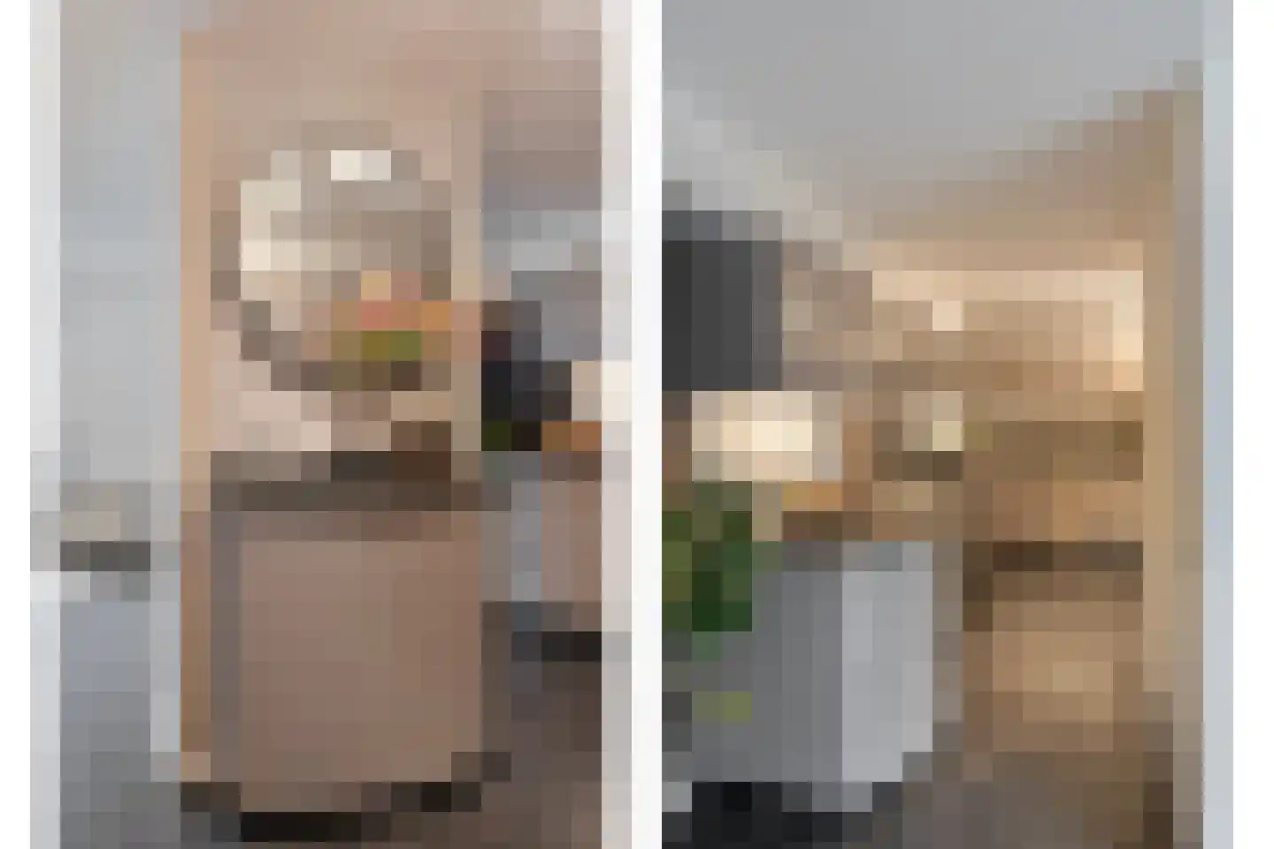 Gaspeldoornlaan 1 A Valkenswaard thumbnail 20
