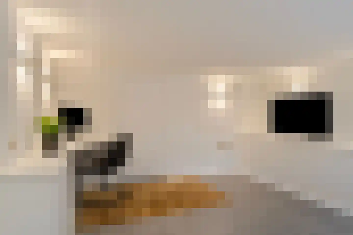 Gaspeldoornlaan 1 A Valkenswaard thumbnail 21