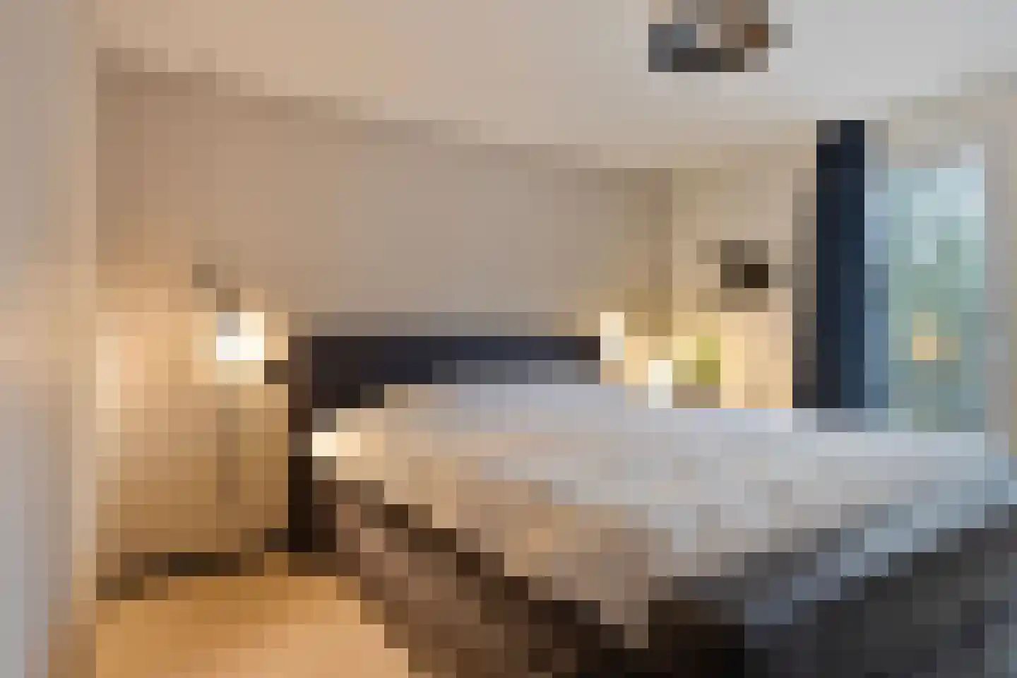 Gaspeldoornlaan 1 A Valkenswaard thumbnail 24