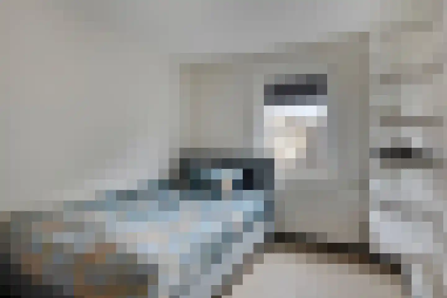 Gaspeldoornlaan 1 A Valkenswaard thumbnail 27