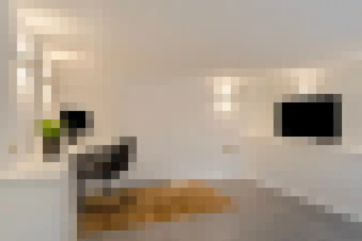 Gaspeldoornlaan 1 A Valkenswaard thumbnail 36