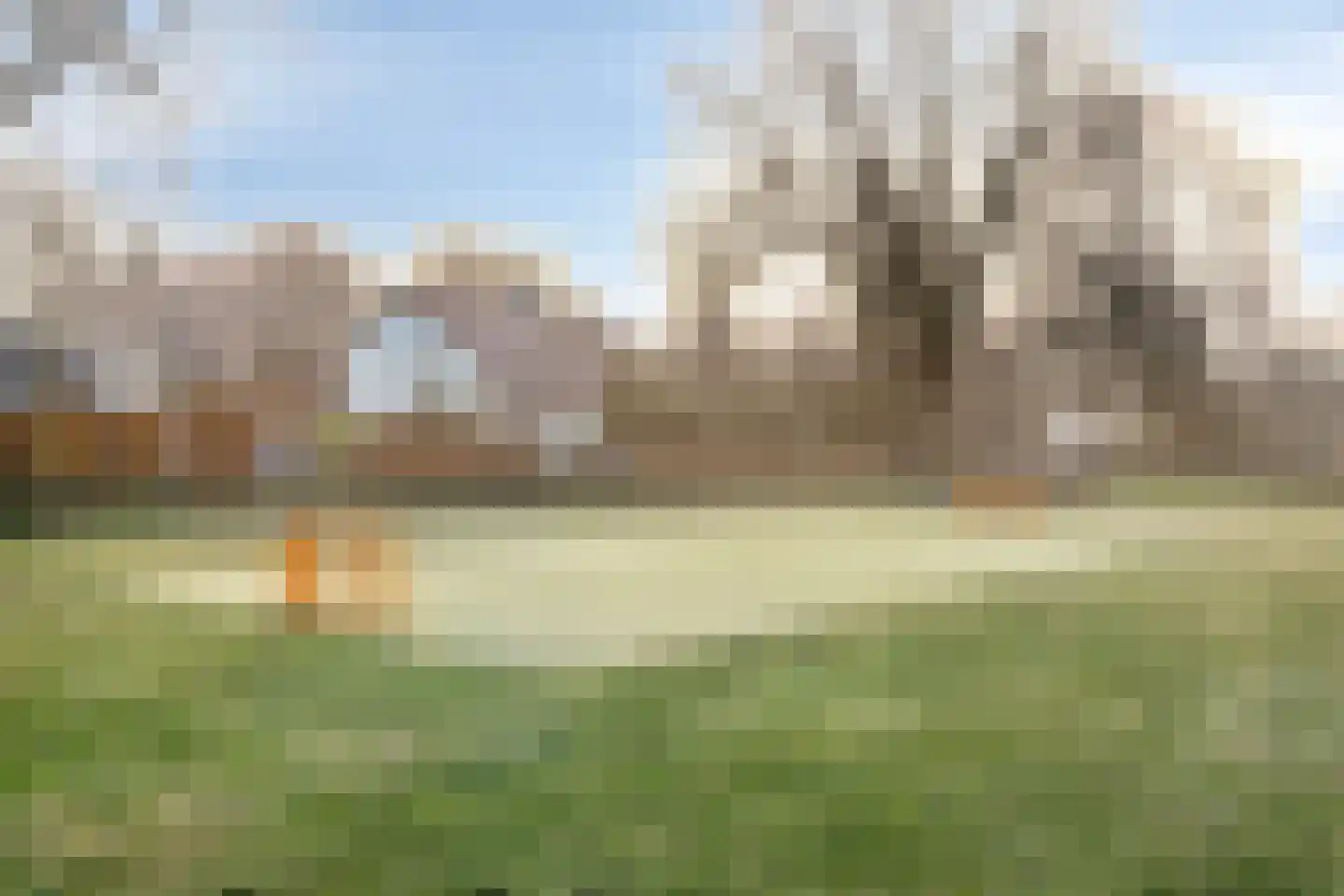 Gaspeldoornlaan 1 A Valkenswaard thumbnail 47