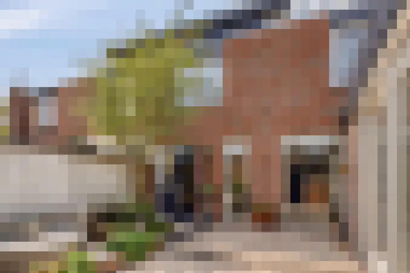 Gaspeldoornlaan 10 Gouda thumbnail 16
