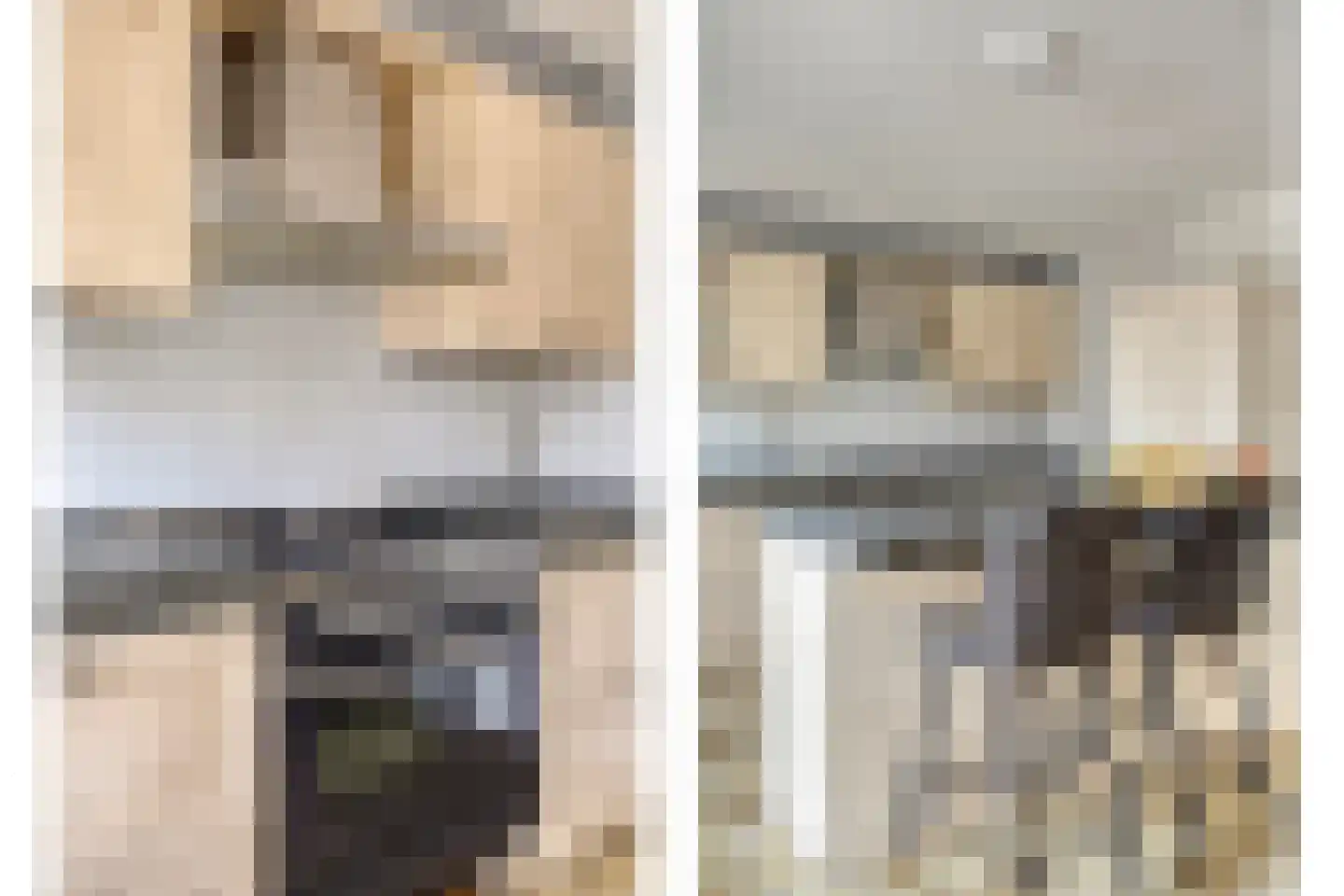 Gaspeldoornlaan 10 Gouda thumbnail 18