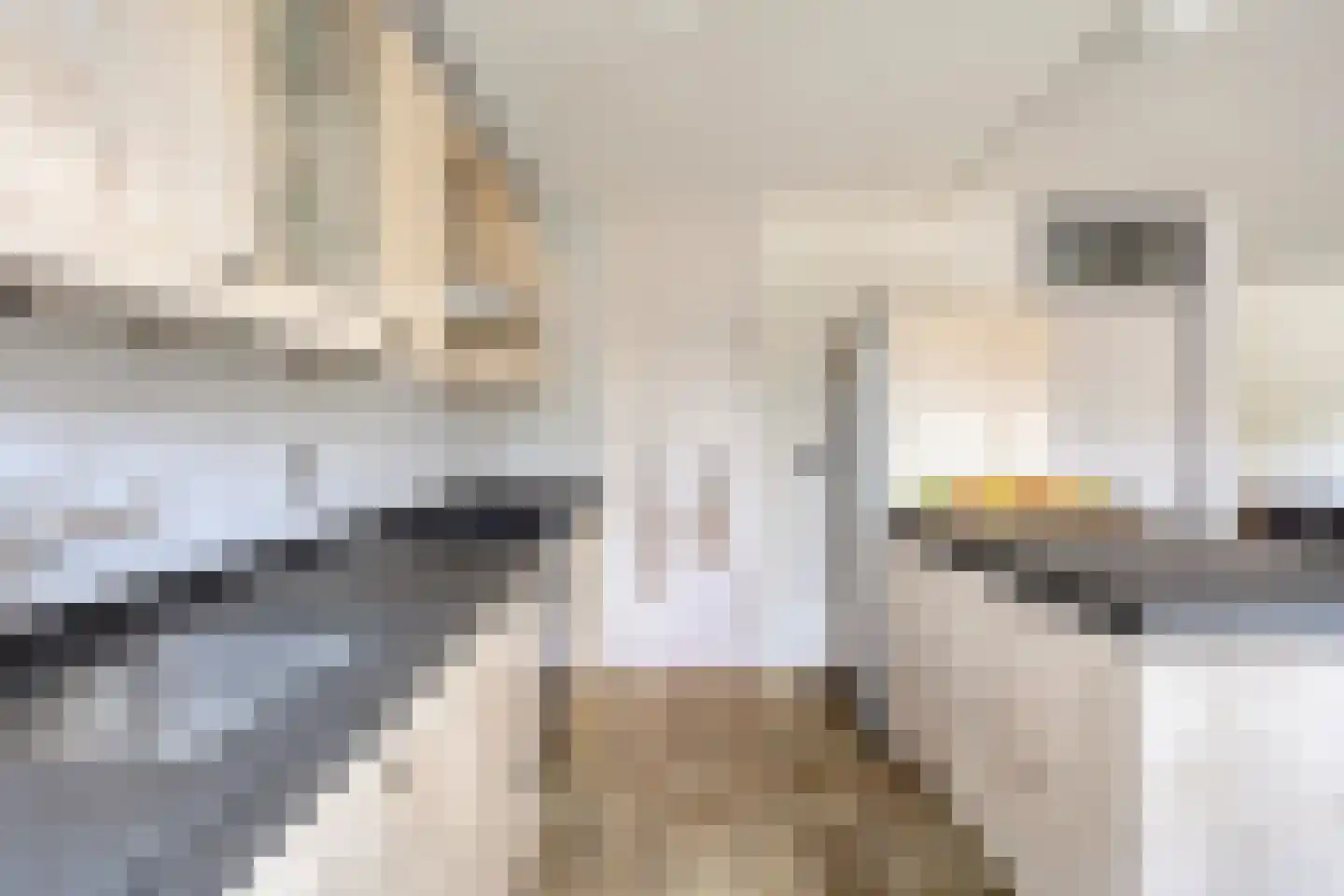 Gaspeldoornlaan 10 Gouda thumbnail 19