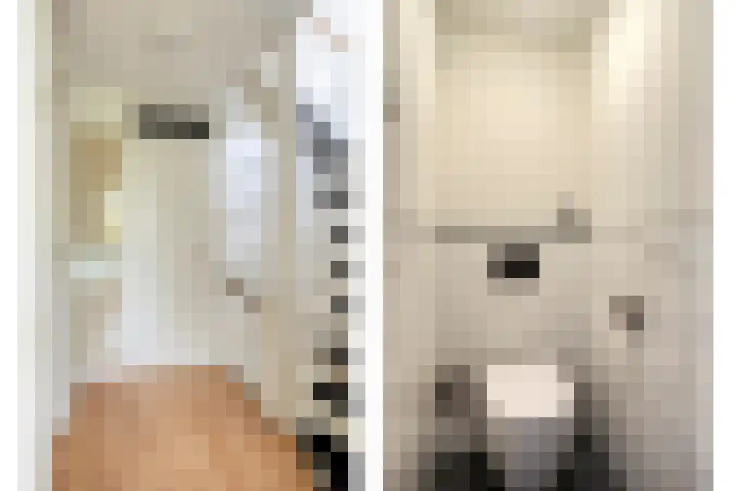 Gaspeldoornlaan 10 Gouda thumbnail 20