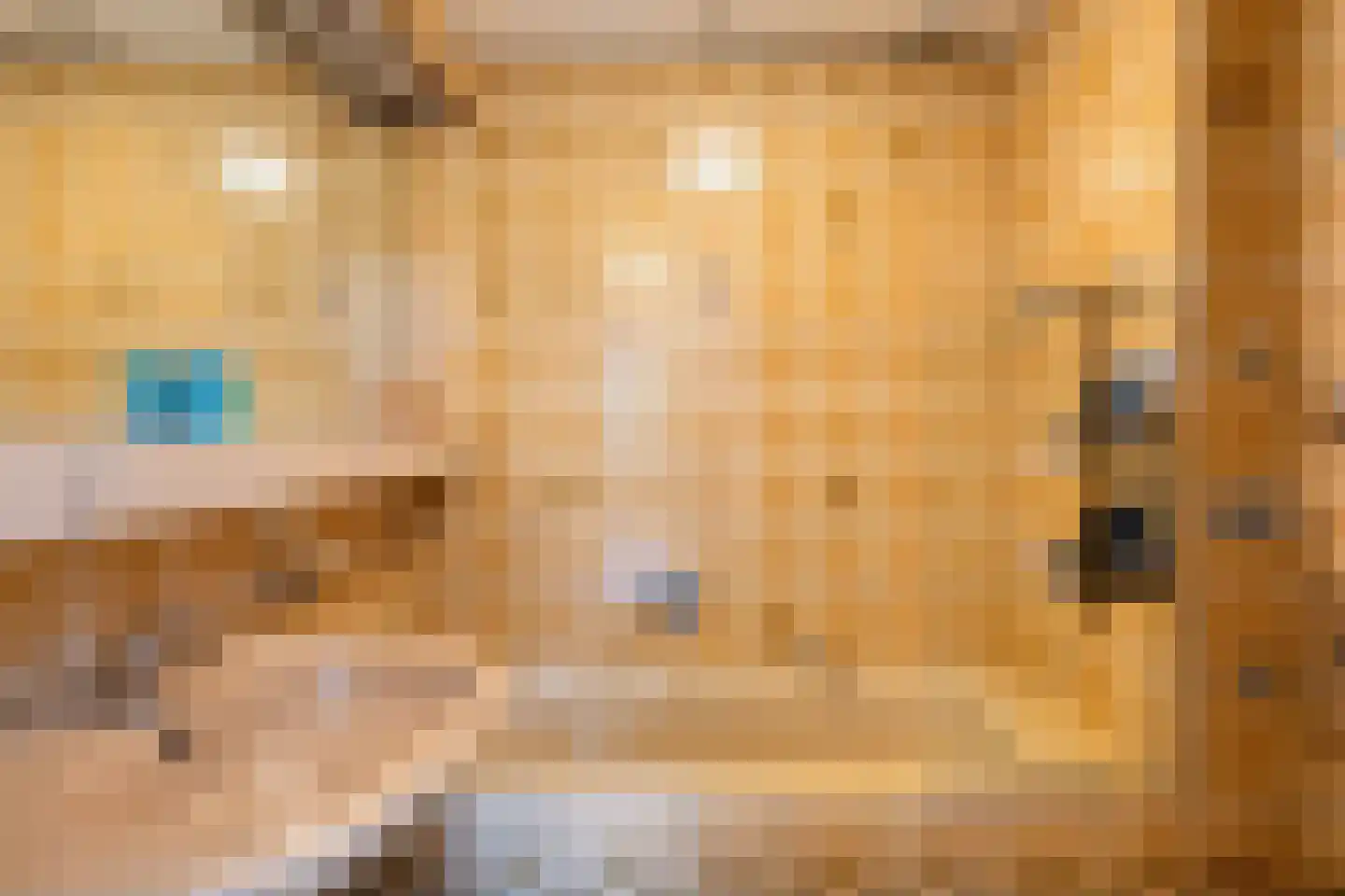 Gaspeldoornlaan 10 Gouda thumbnail 24