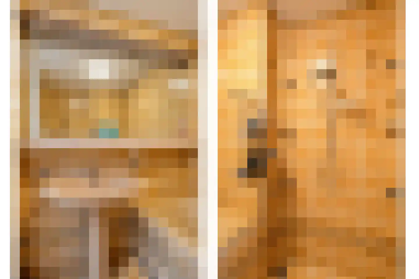 Gaspeldoornlaan 10 Gouda thumbnail 25