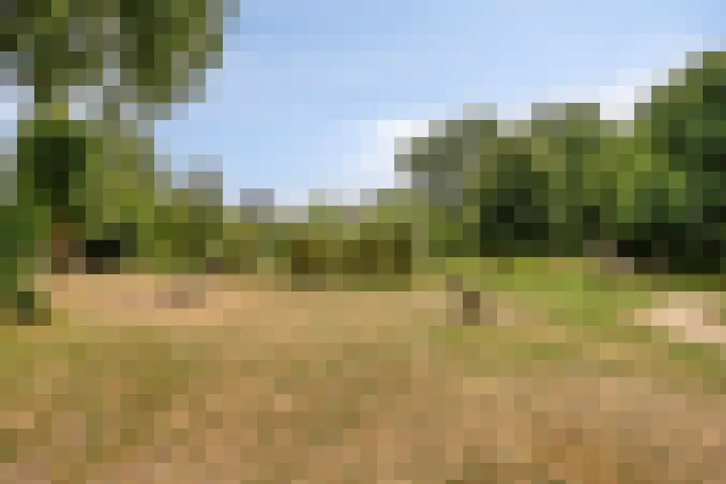 Gaspeldoornlaan 10 Gouda thumbnail 36