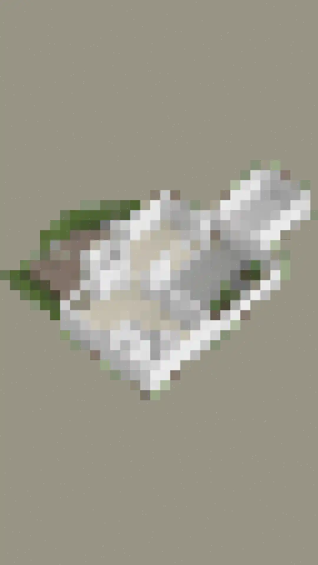 Gaspeldoornlaan 10 Gouda thumbnail 47