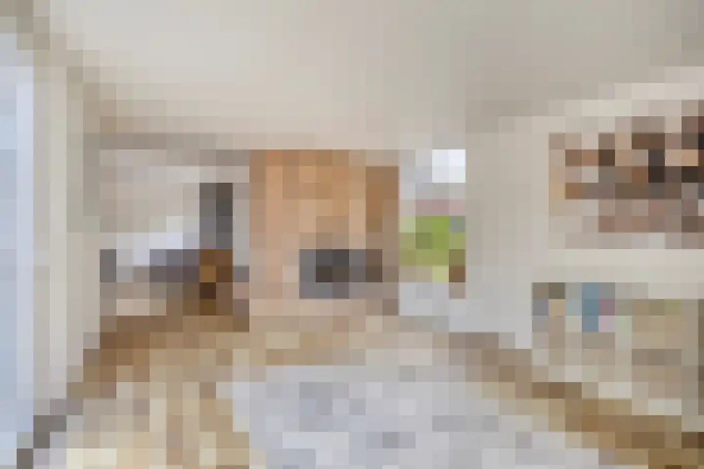 Gaspeldoornlaan 10 Gouda thumbnail 9