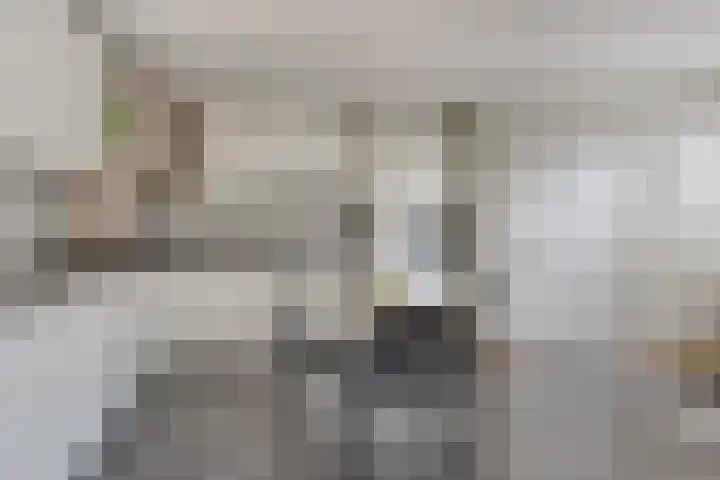 Gaspeldoornlaan 22 Valkenswaard thumbnail 11